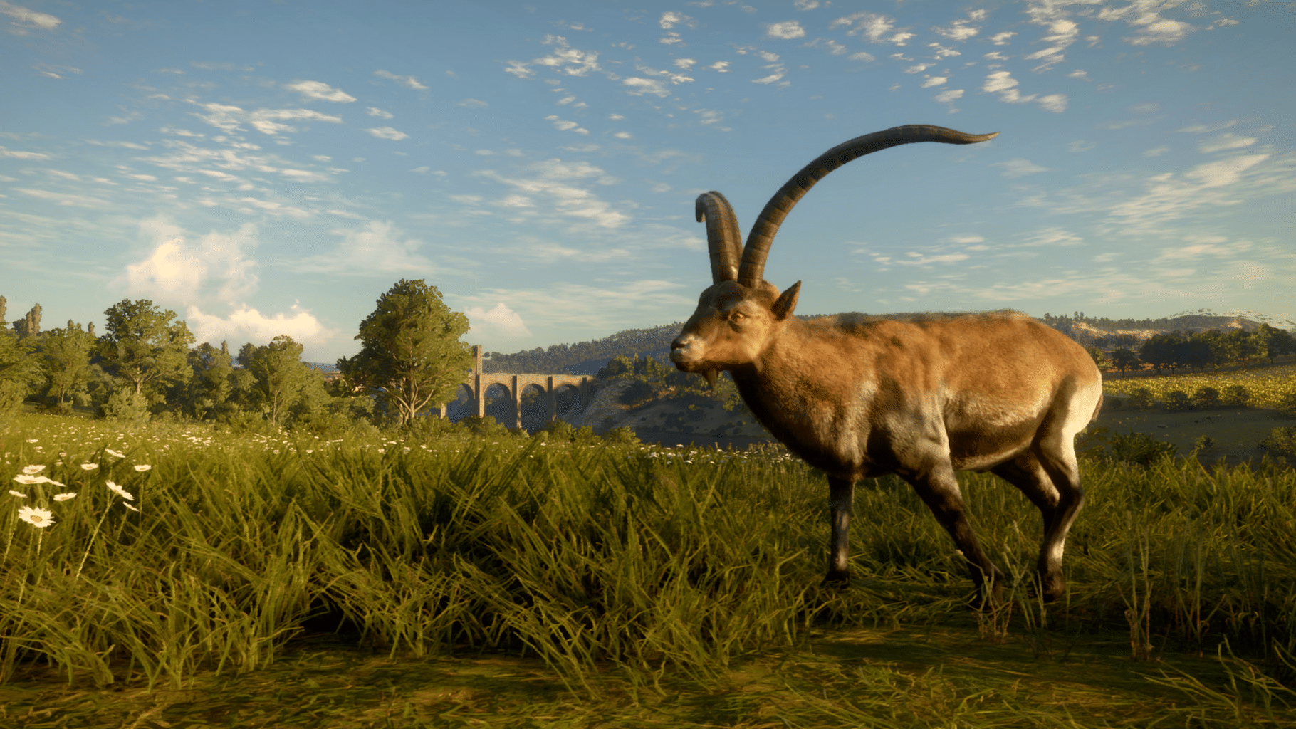 TheHunter: Call of the Wild - Cuatro Colinas Game Reserve screenshot