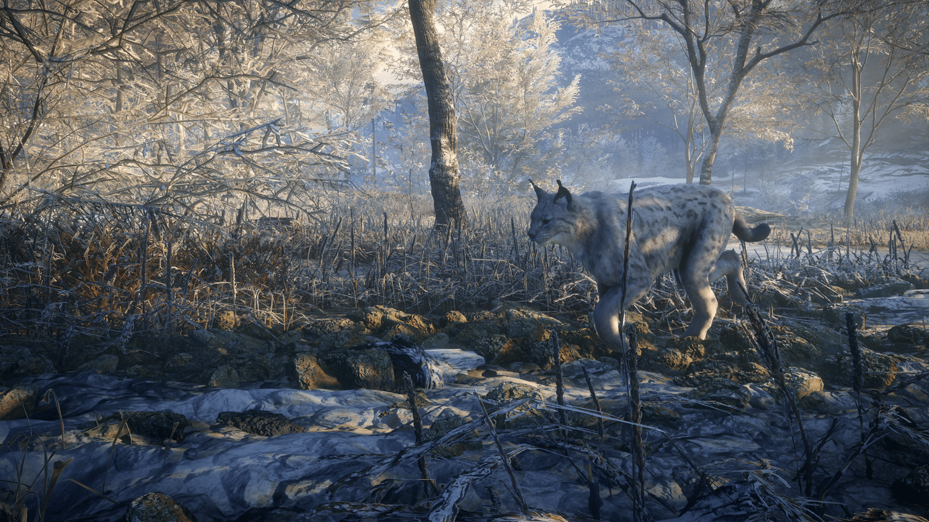 TheHunter: Call of the Wild - Medved-Taiga screenshot