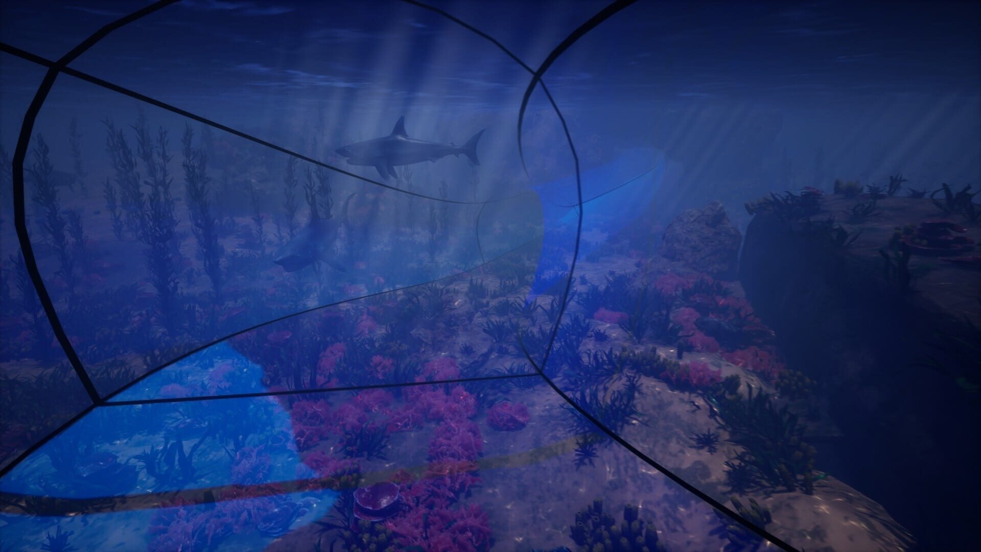 Digital Zoo Gallery - Screenshot