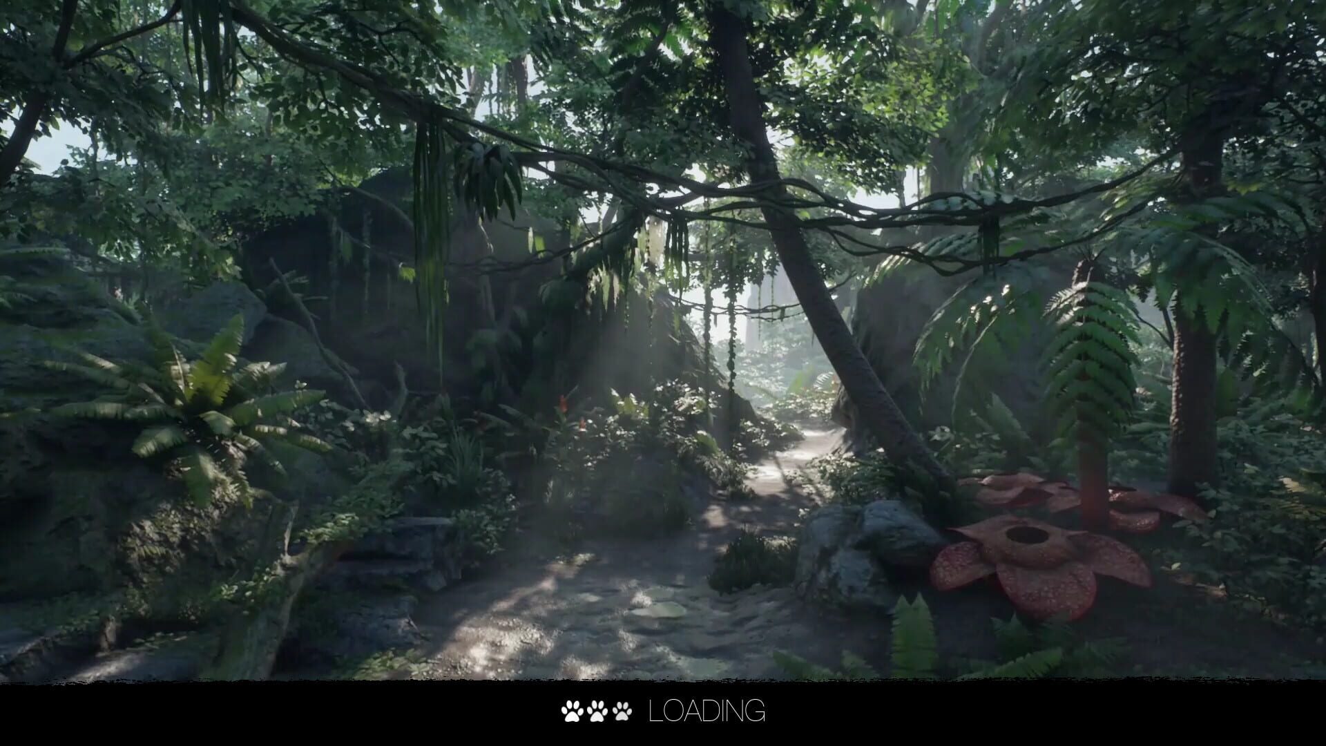 Digital Zoo Gallery - Screenshot