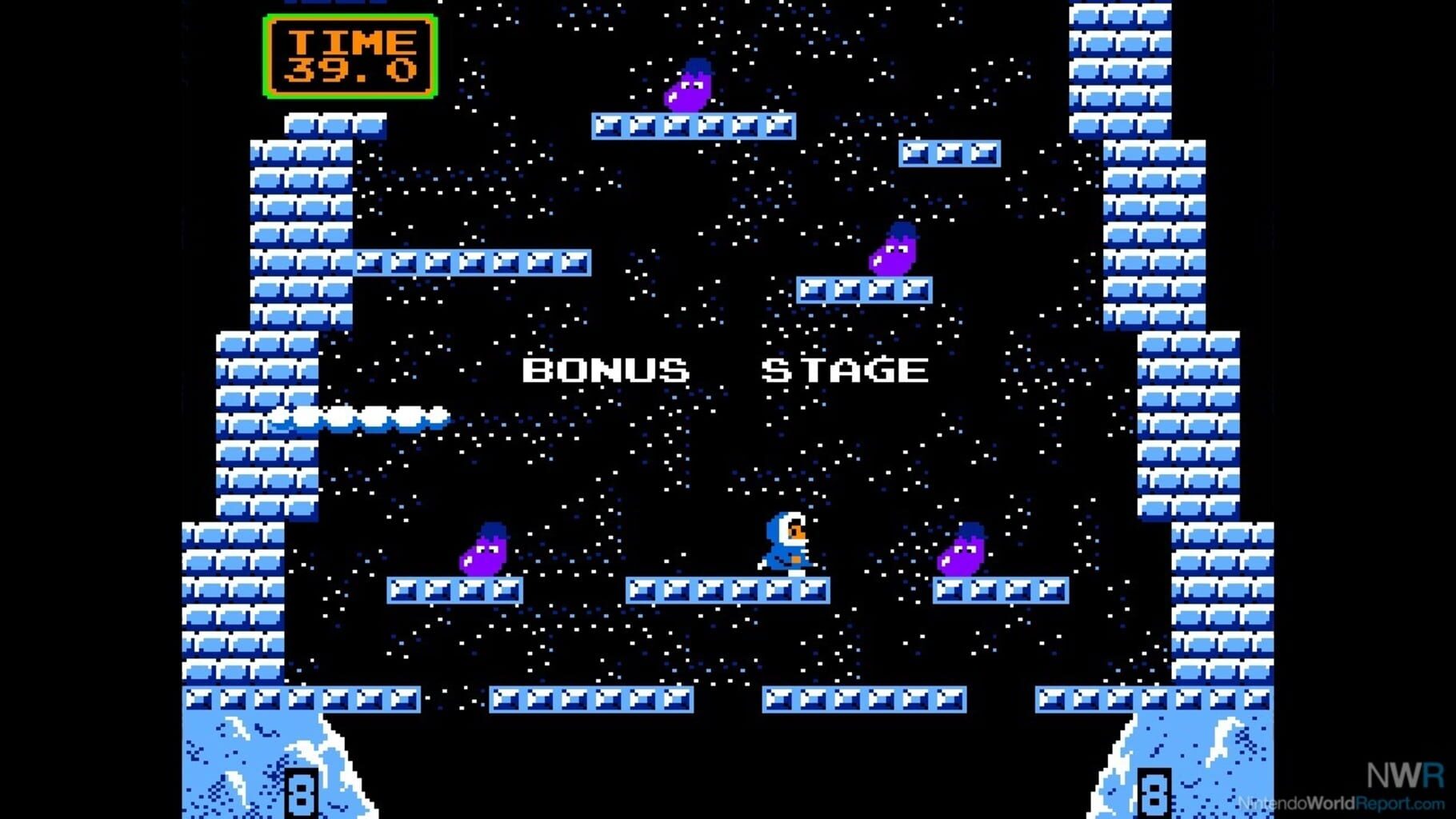 Arcade Archives: Ice Climber screenshot