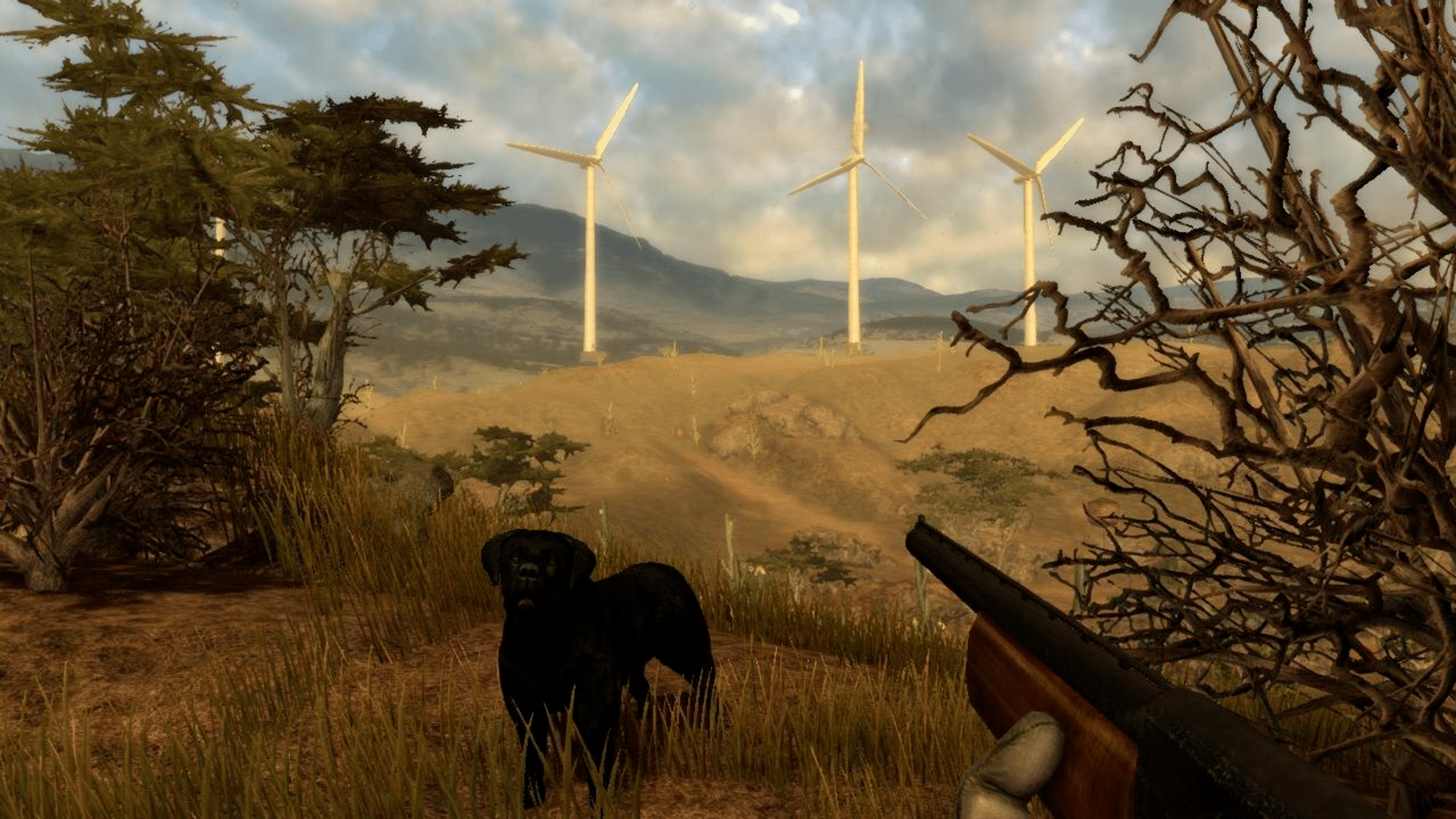 Hunter's Trophy 2: America screenshot