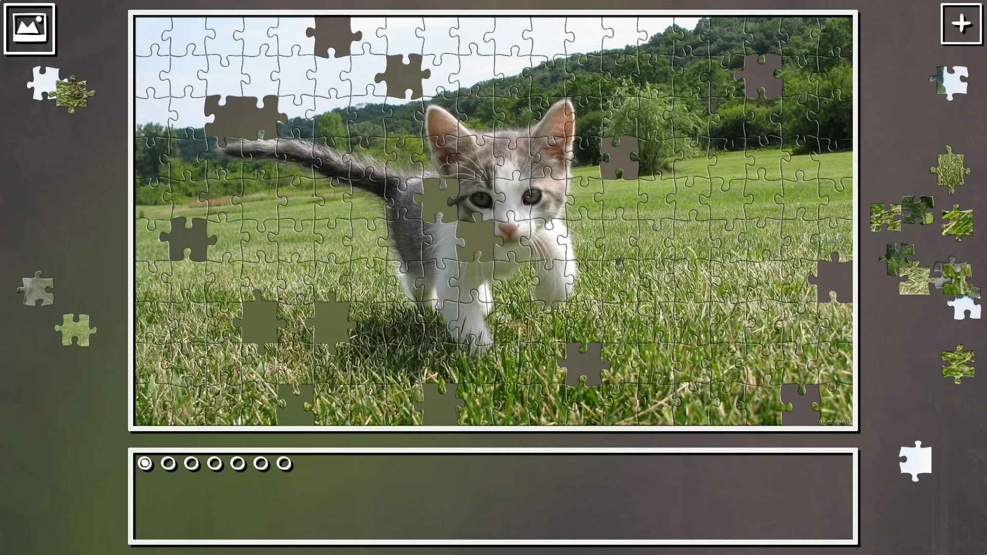 Thumbnail 7