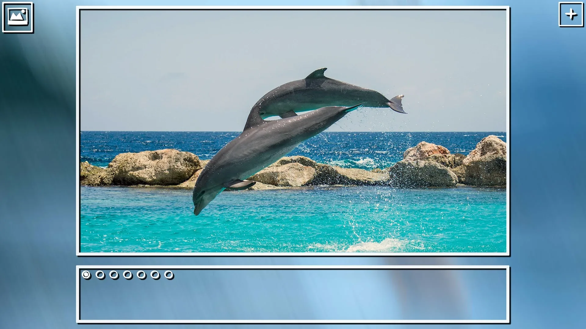 Thumbnail 8