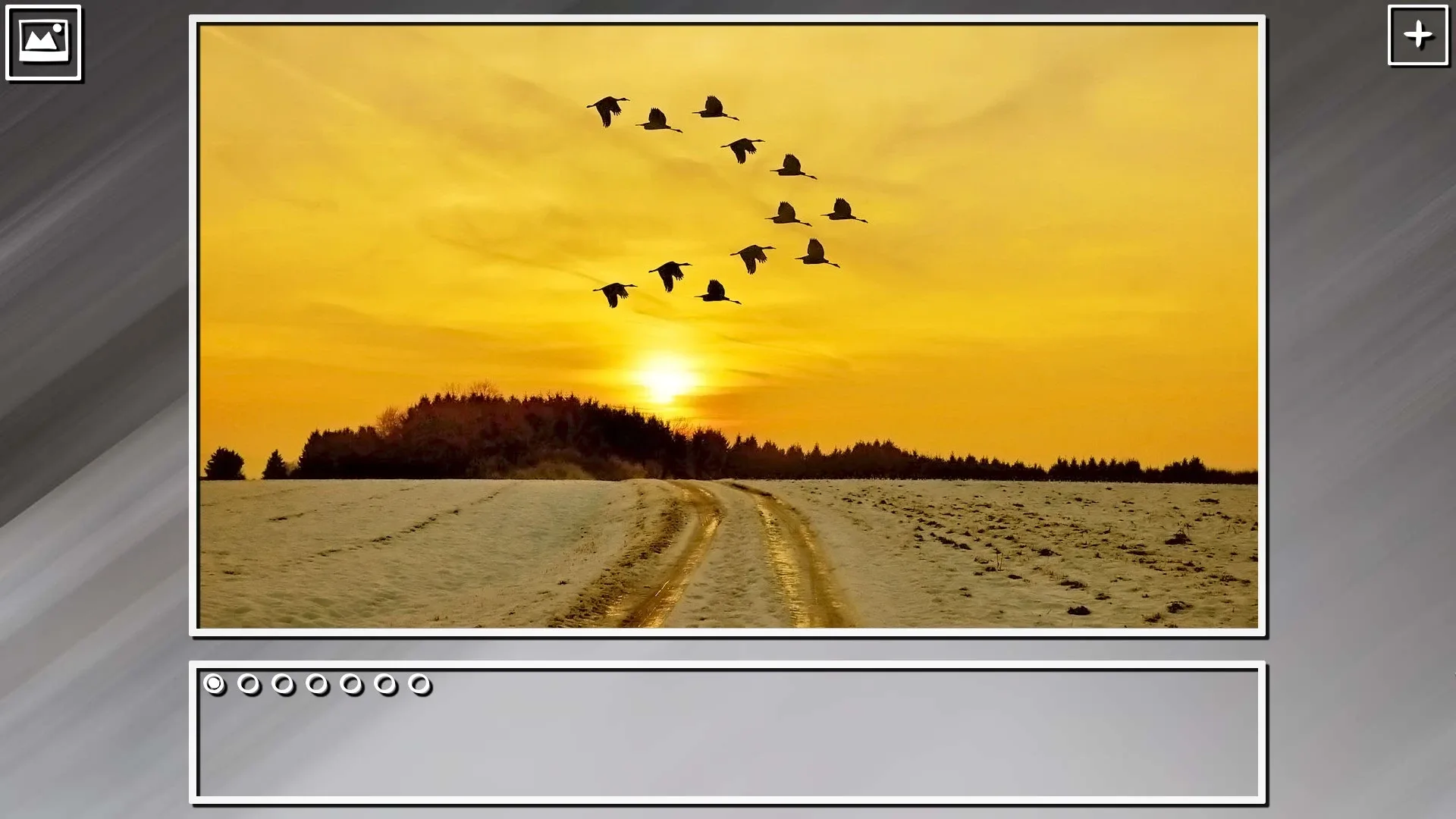 Thumbnail 12