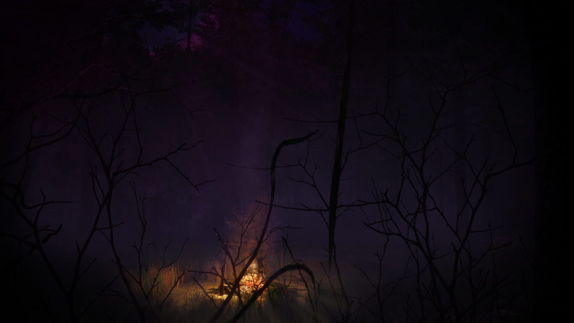 Finsterwald - Screenshot