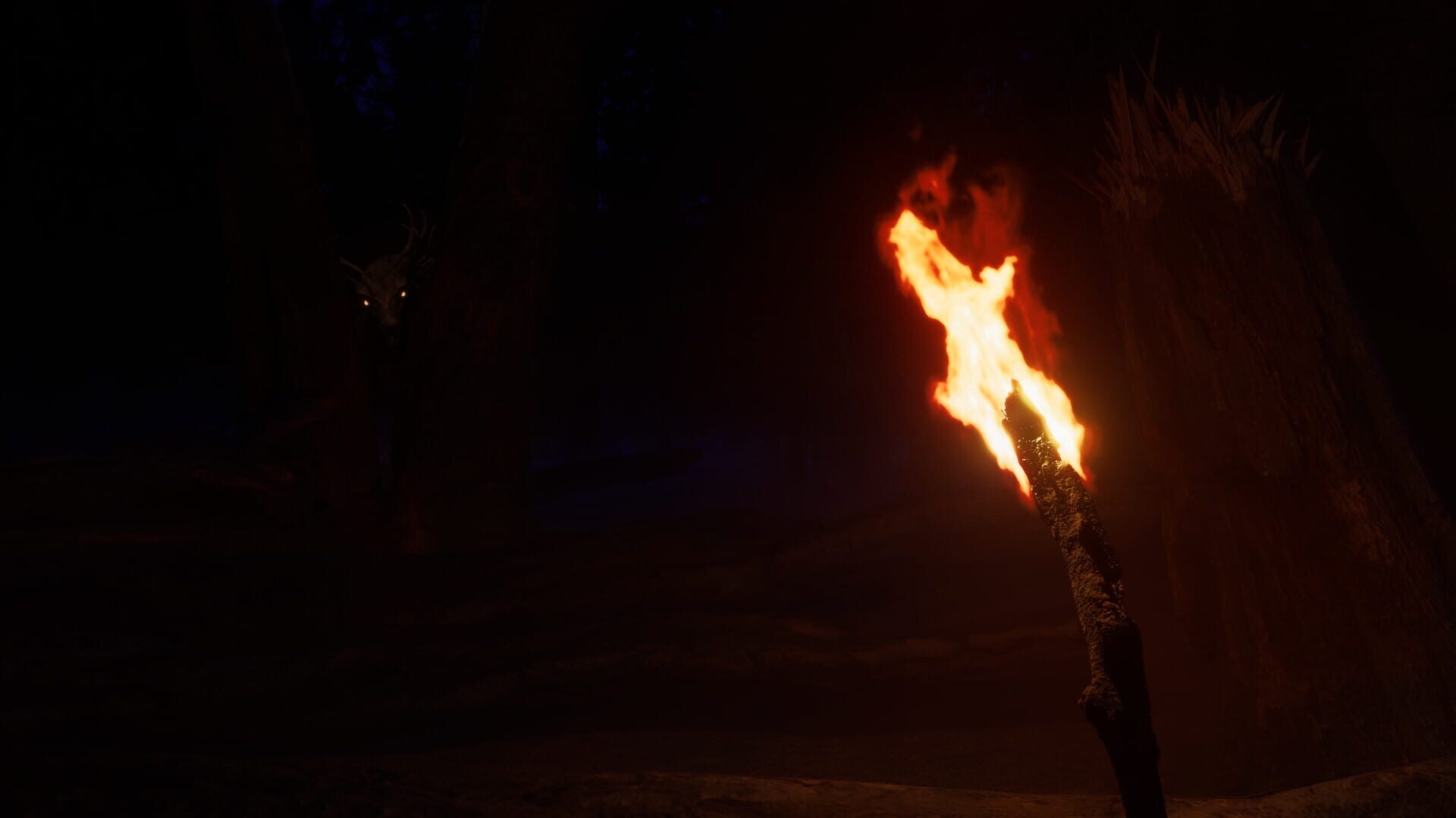 Finsterwald - Screenshot