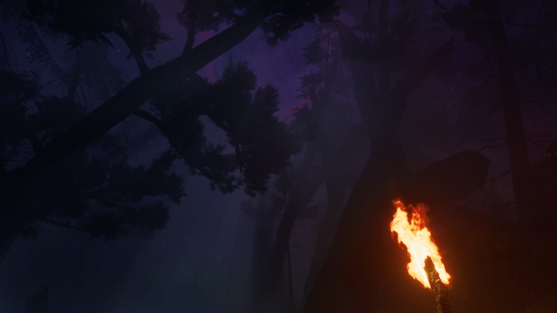 Finsterwald - Screenshot