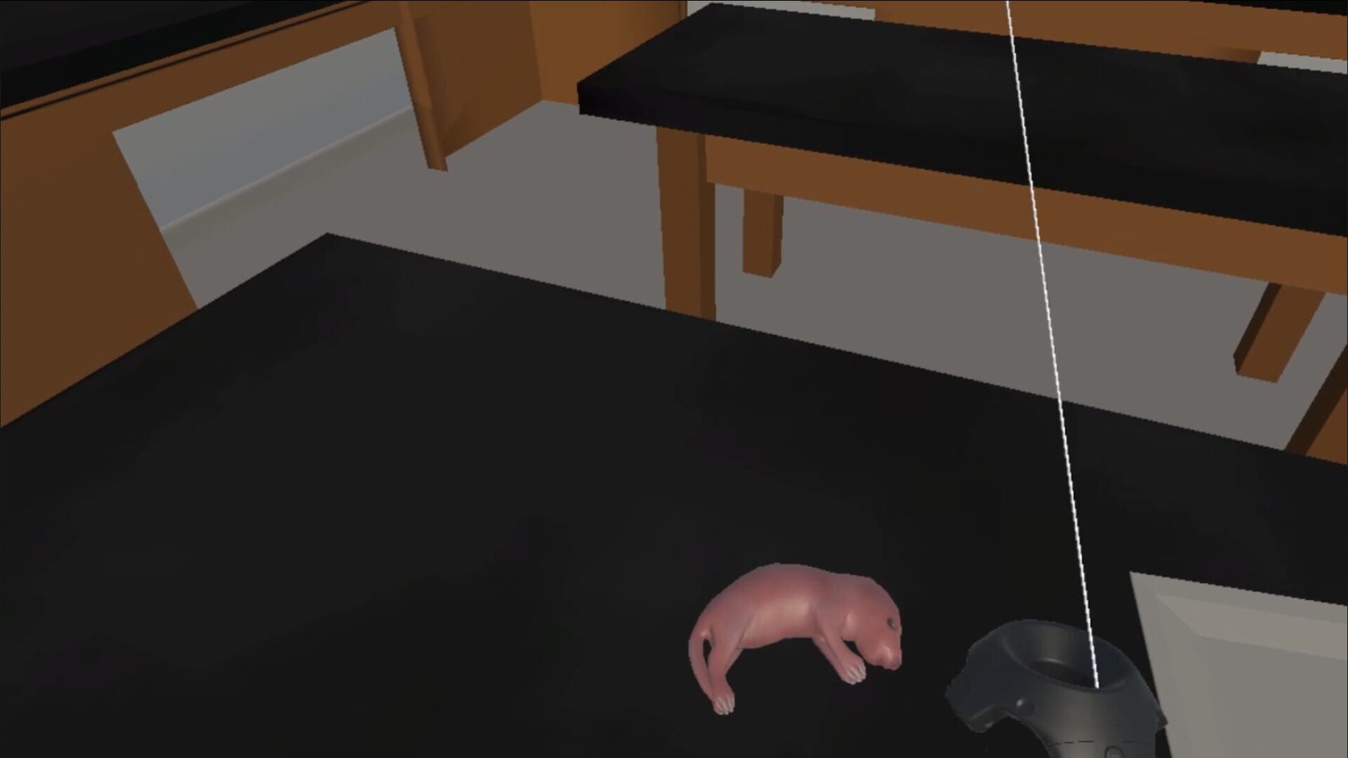 Training Lab - Screenshot