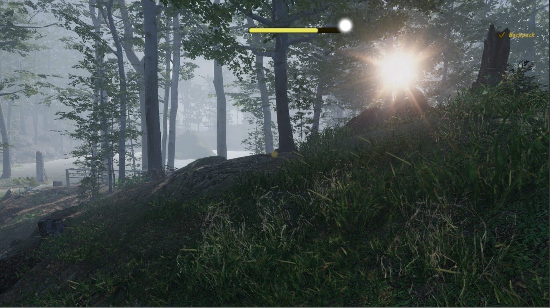 Naturalist Stories - Screenshot