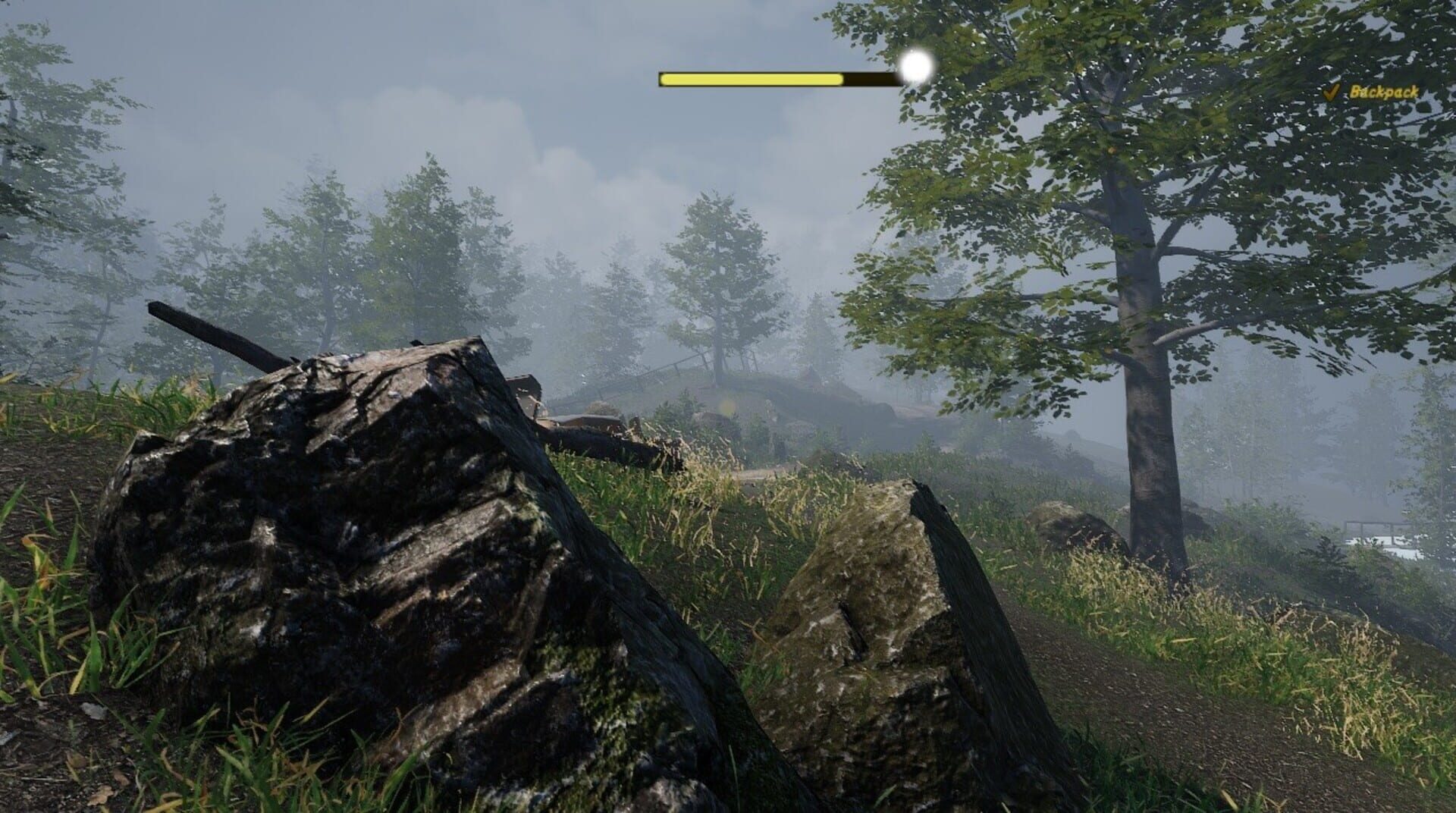 Naturalist Stories - Screenshot