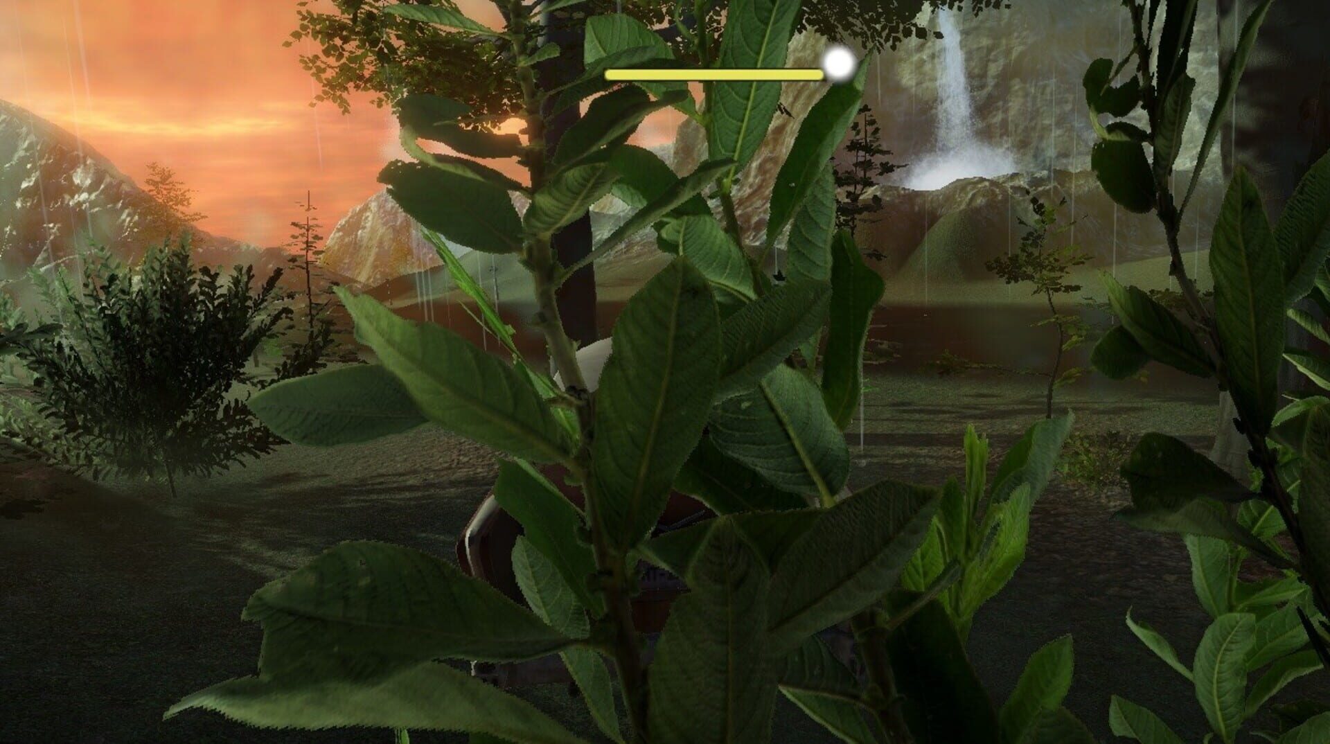 Naturalist Stories - Screenshot