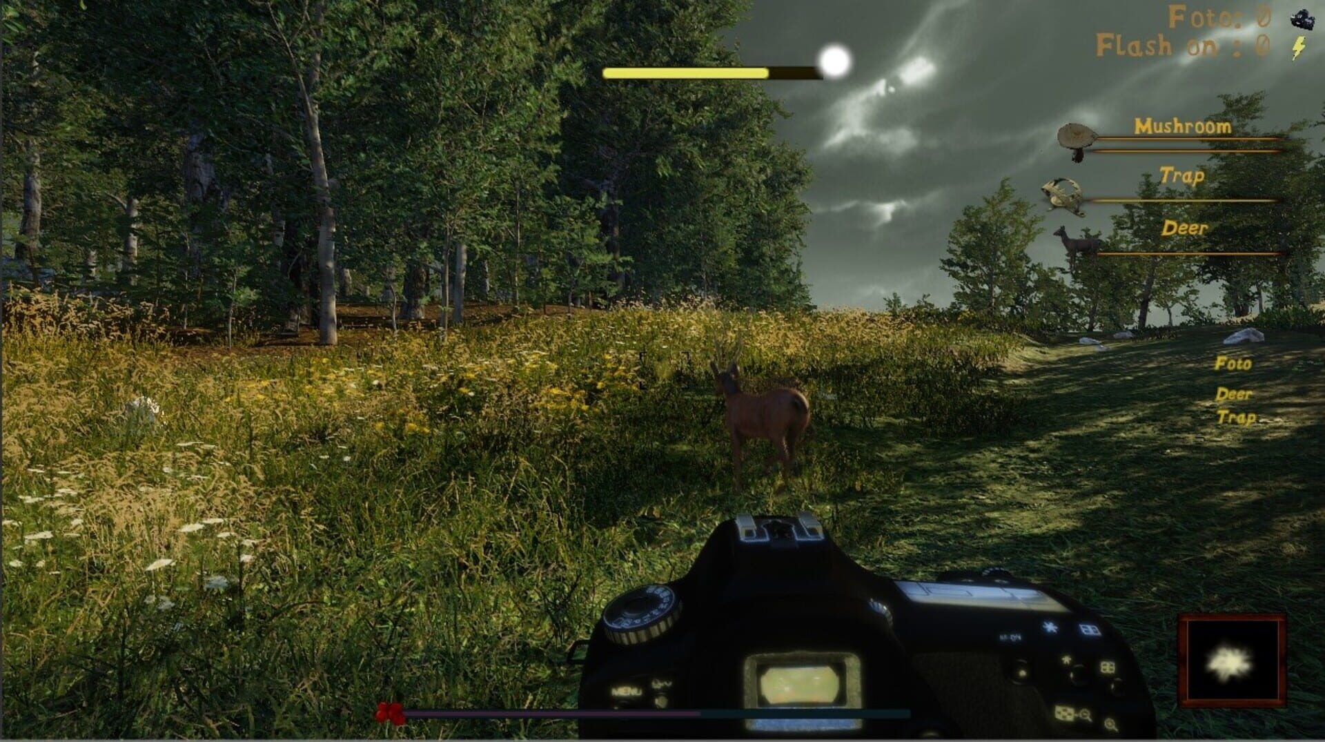 Naturalist Stories - Screenshot