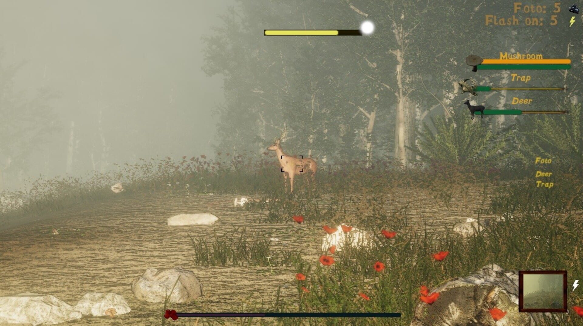 Naturalist Stories - Screenshot