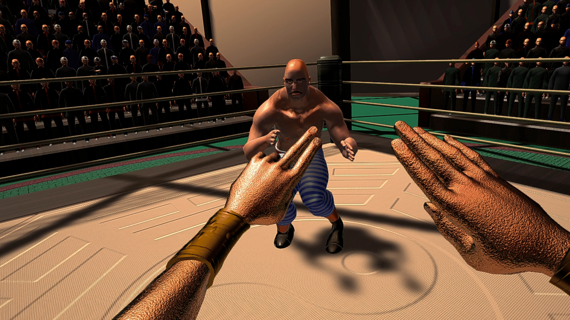 Dragon Fist: VR Kung Fu screenshot