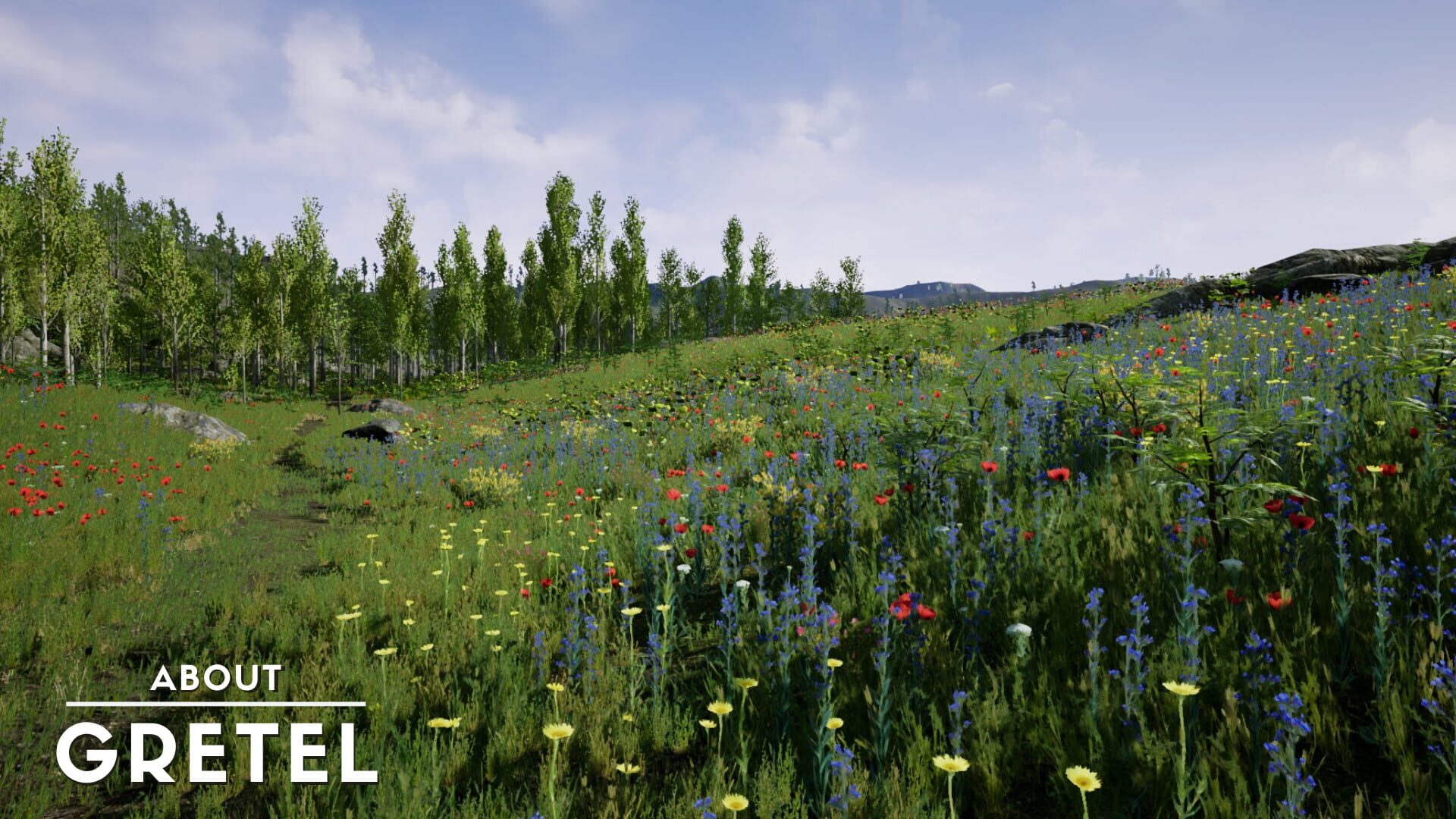 About Gretel - Screenshot