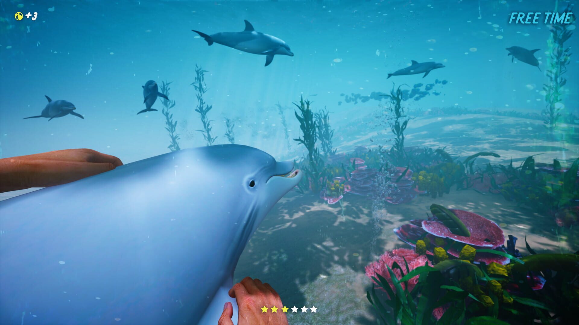 Dolphin Trainer VR - Screenshot