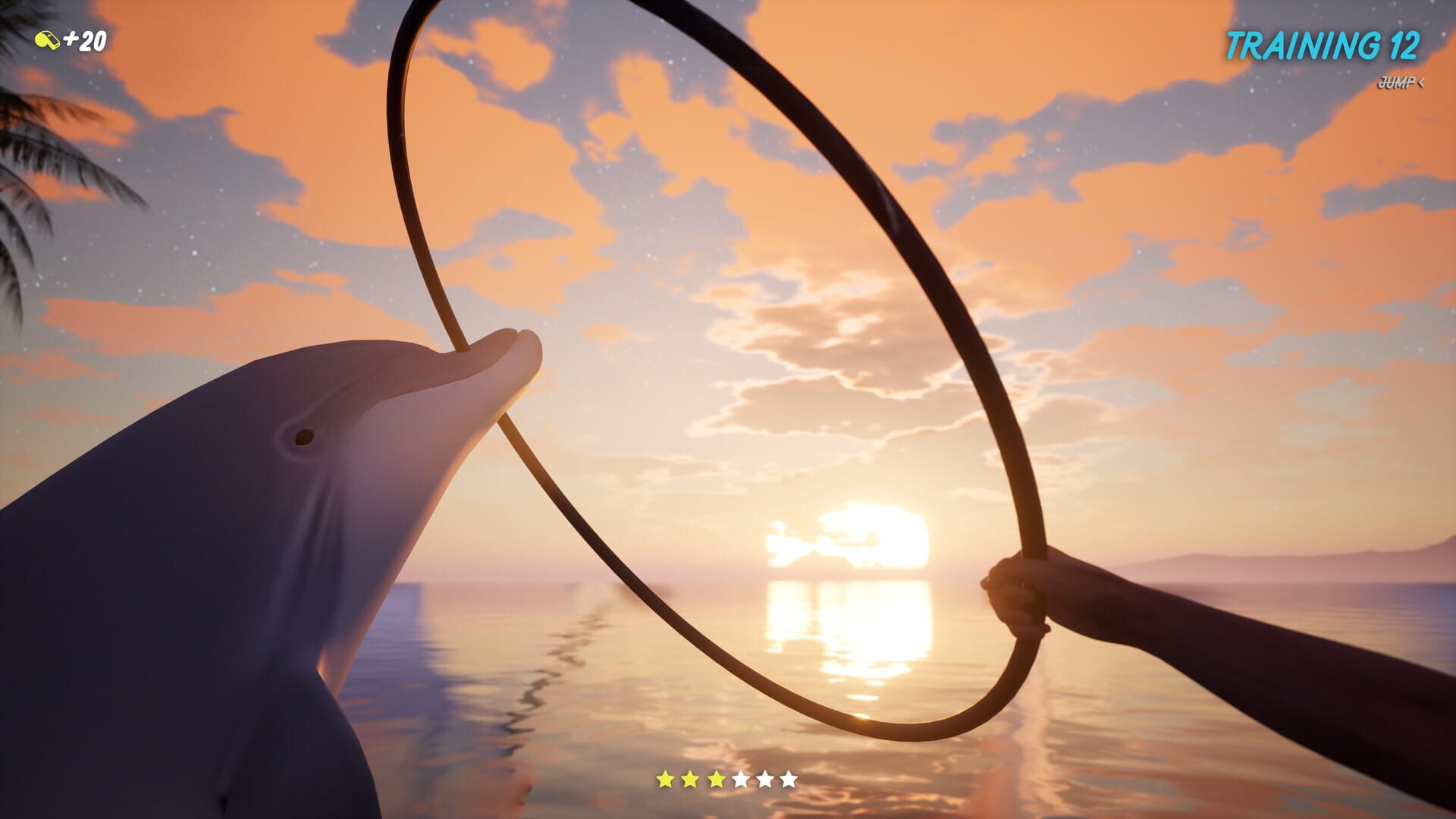 Dolphin Trainer VR - Screenshot