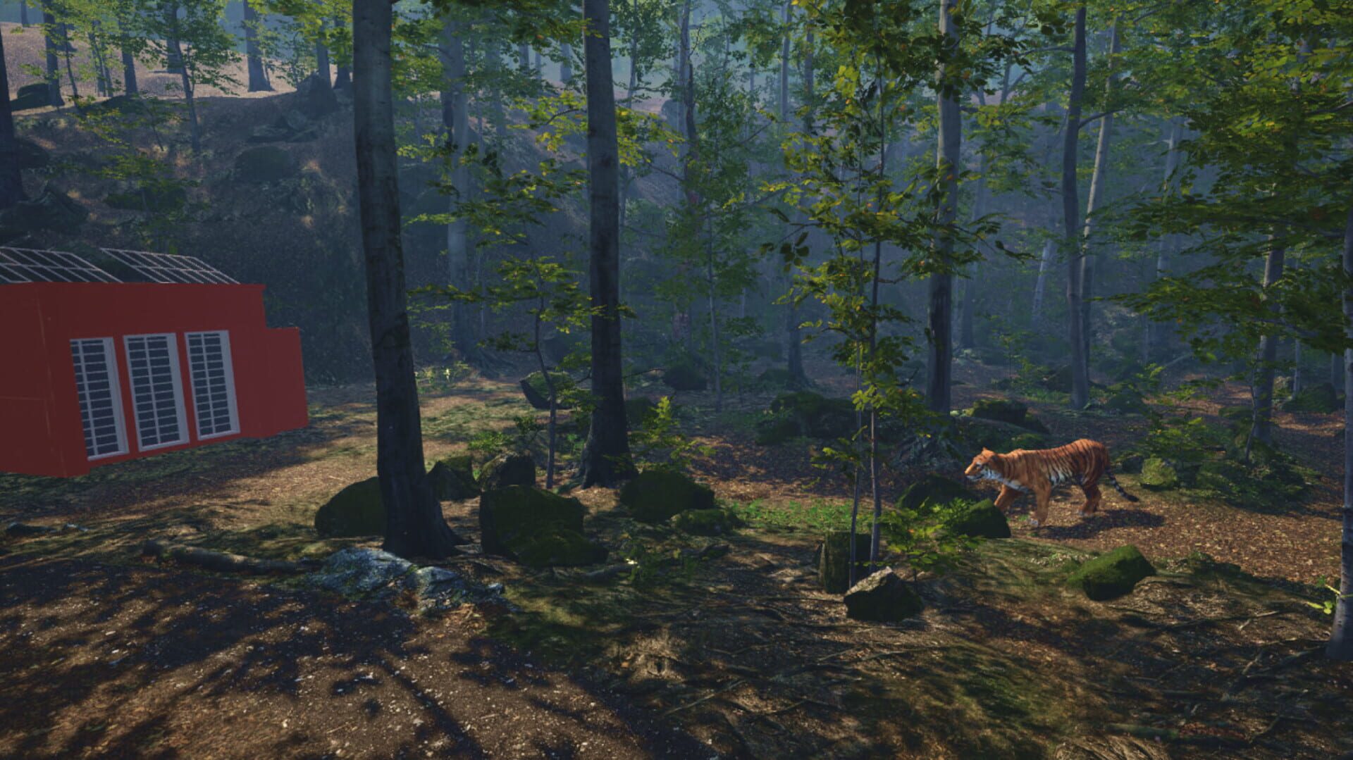 Big Cat Rescue VR - Screenshot