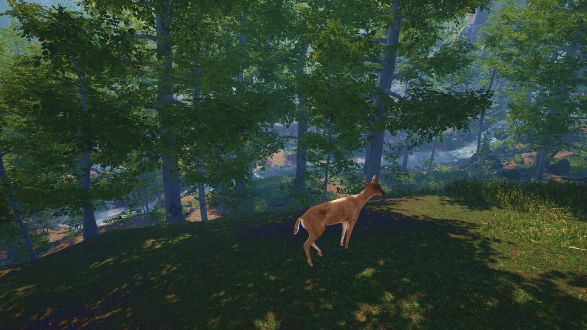 Big Cat Rescue VR - Screenshot