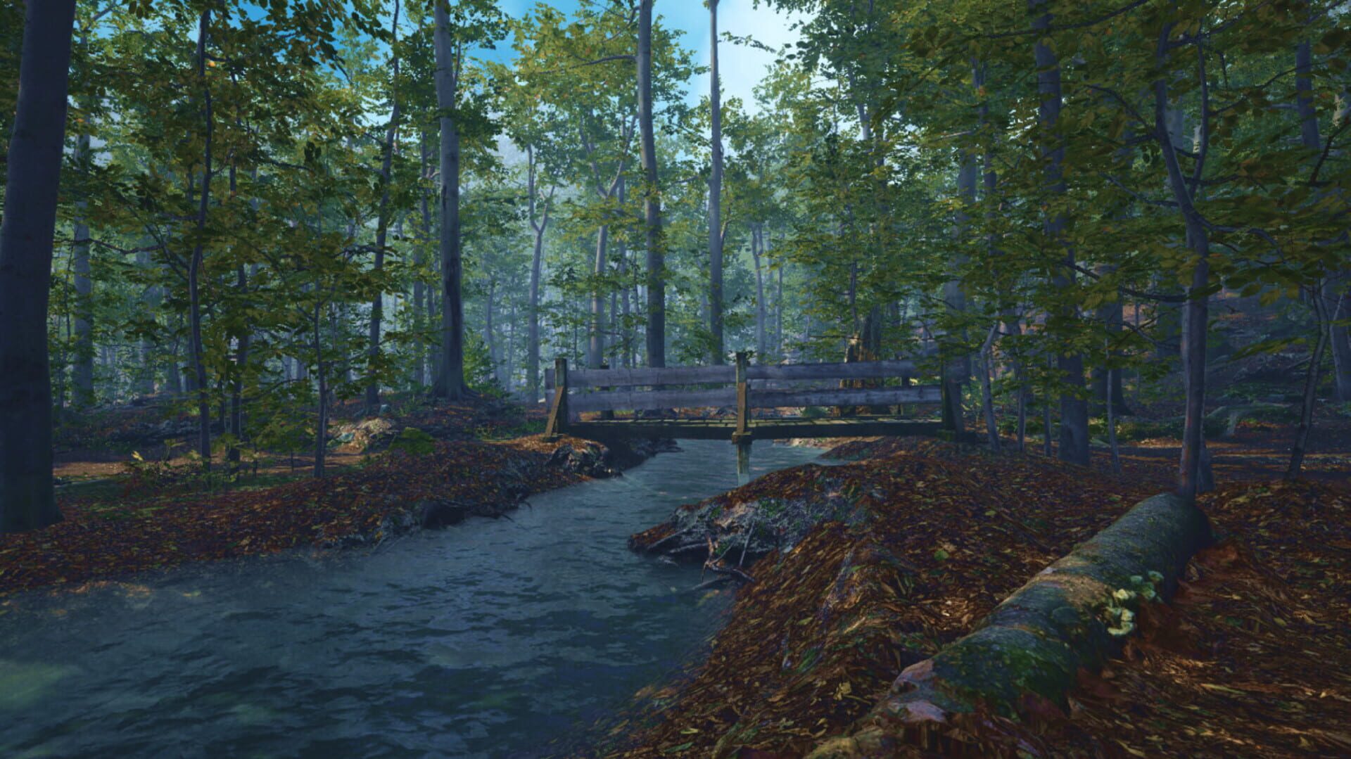 Big Cat Rescue VR - Screenshot