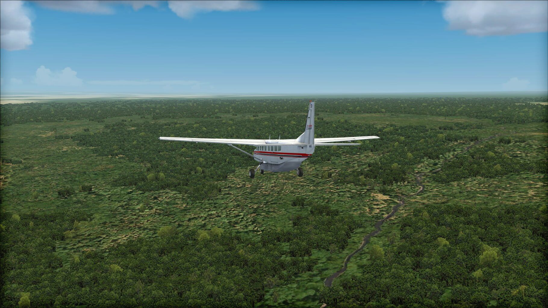 Microsoft Flight Simulator X: Steam Edition - Toposim Central Africa