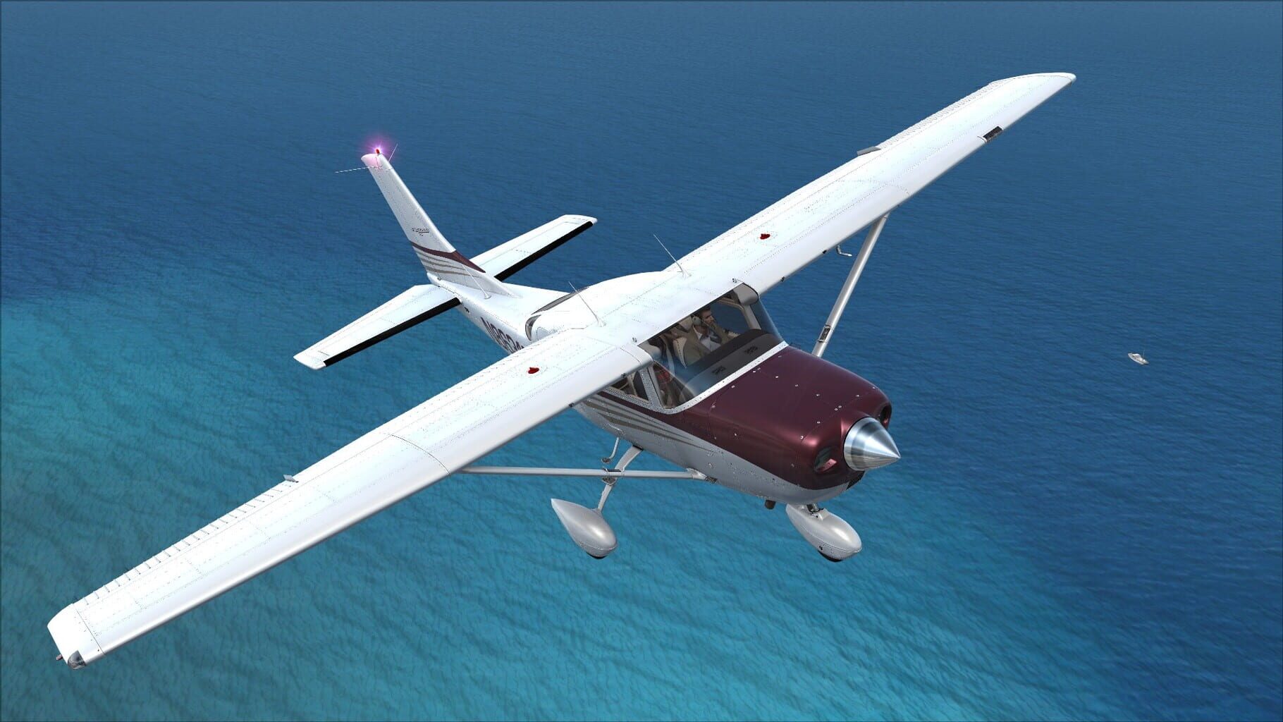 Microsoft Flight Simulator X: Steam Edition - Cessna CT206H Stationair