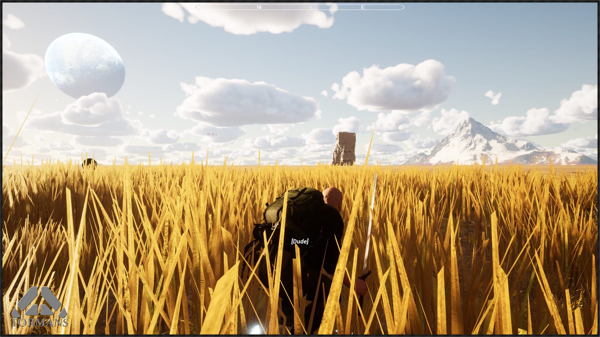Tormans - Screenshot