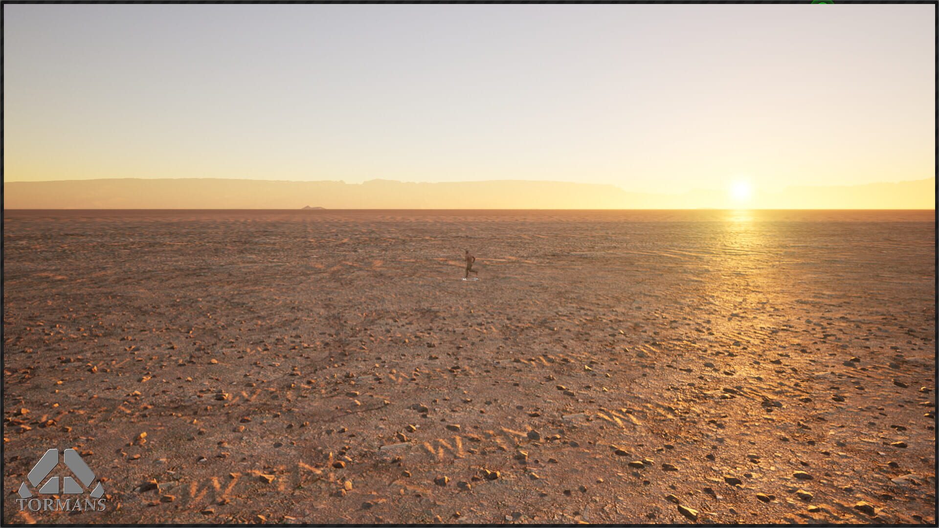 Tormans - Screenshot
