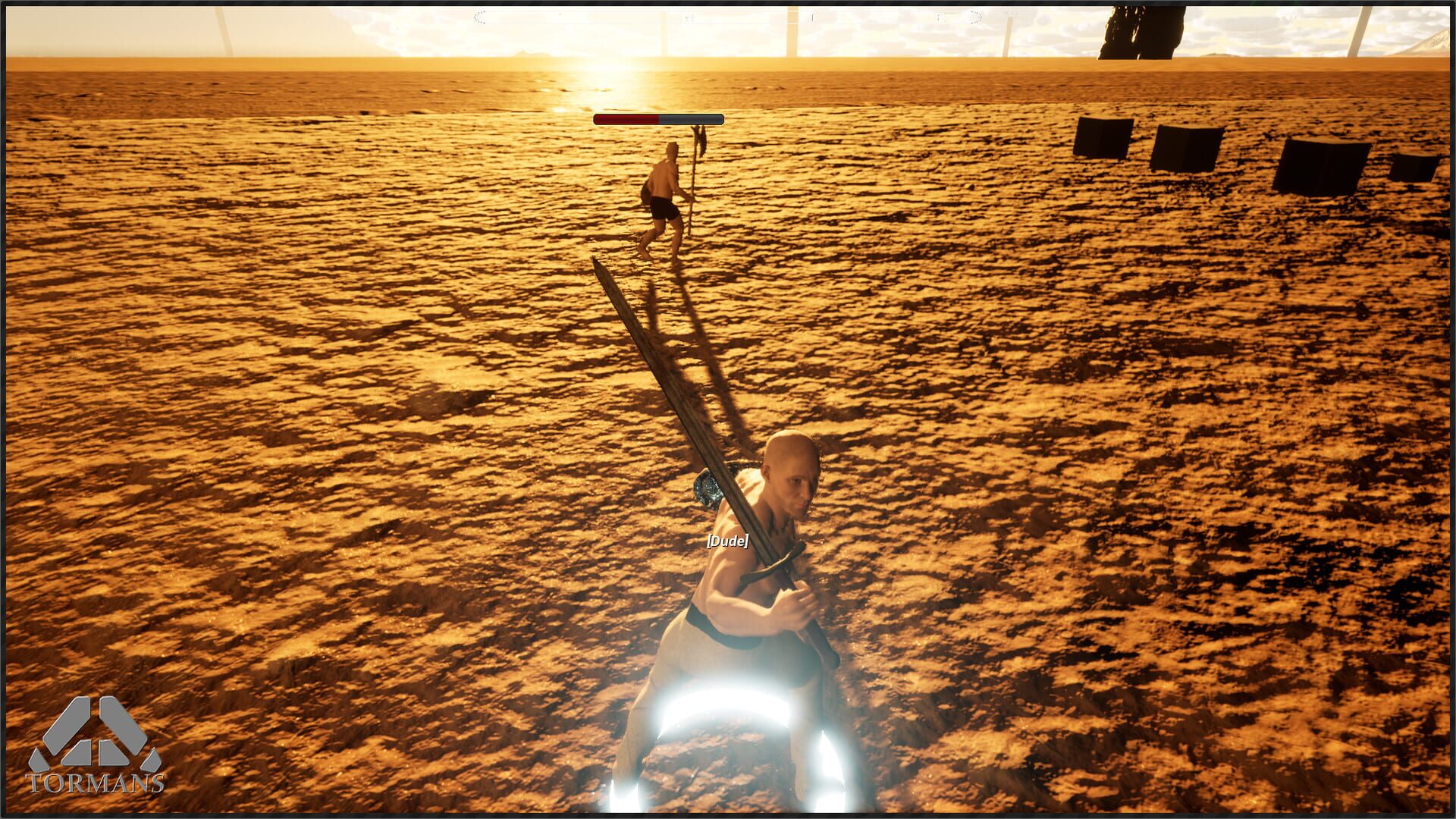 Tormans - Screenshot