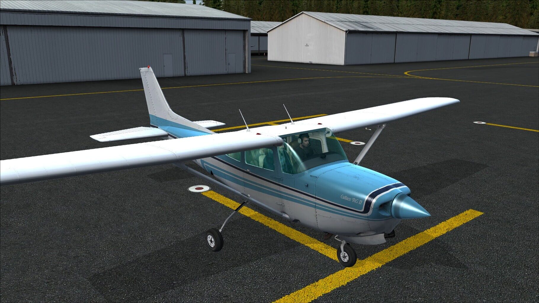 Microsoft Flight Simulator X: Steam Edition - Cessna C172RG Cutlass