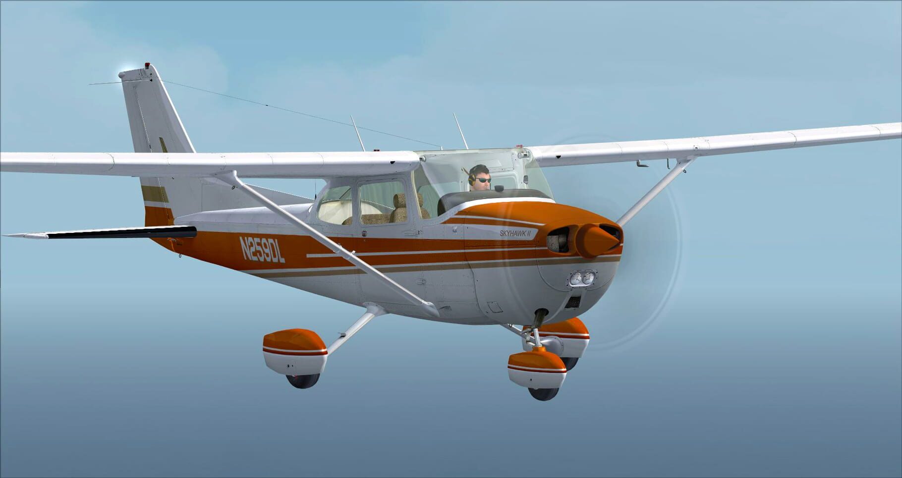 Microsoft Flight Simulator X: Steam Edition - Cessna C172N Skyhawk II