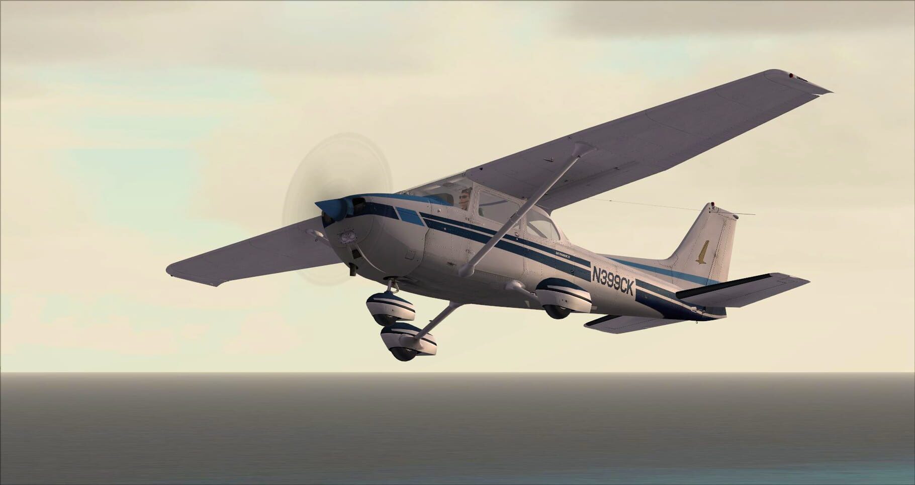 Microsoft Flight Simulator X: Steam Edition - Cessna C172N Skyhawk II