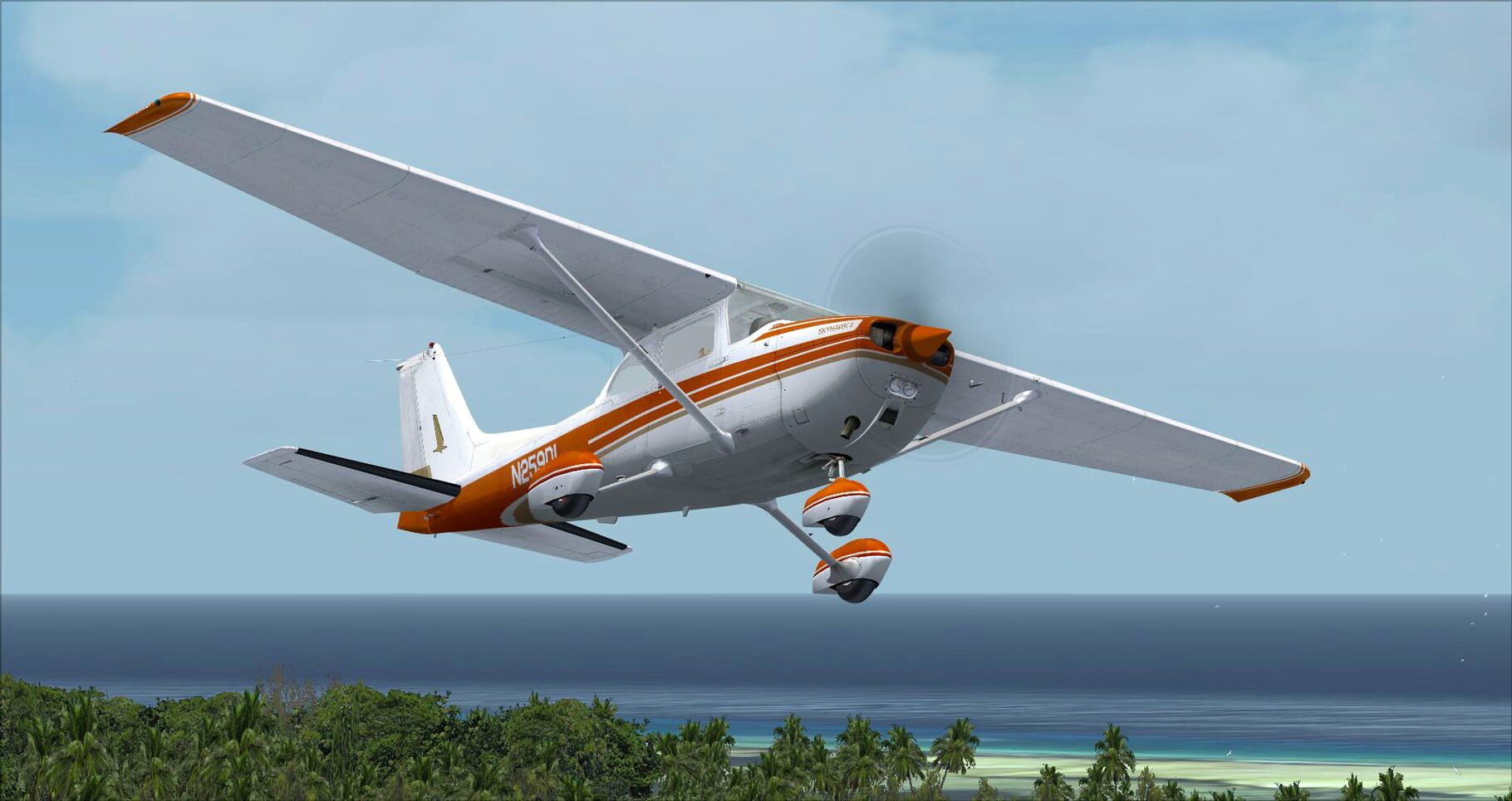 Microsoft Flight Simulator X: Steam Edition - Cessna C172N Skyhawk II