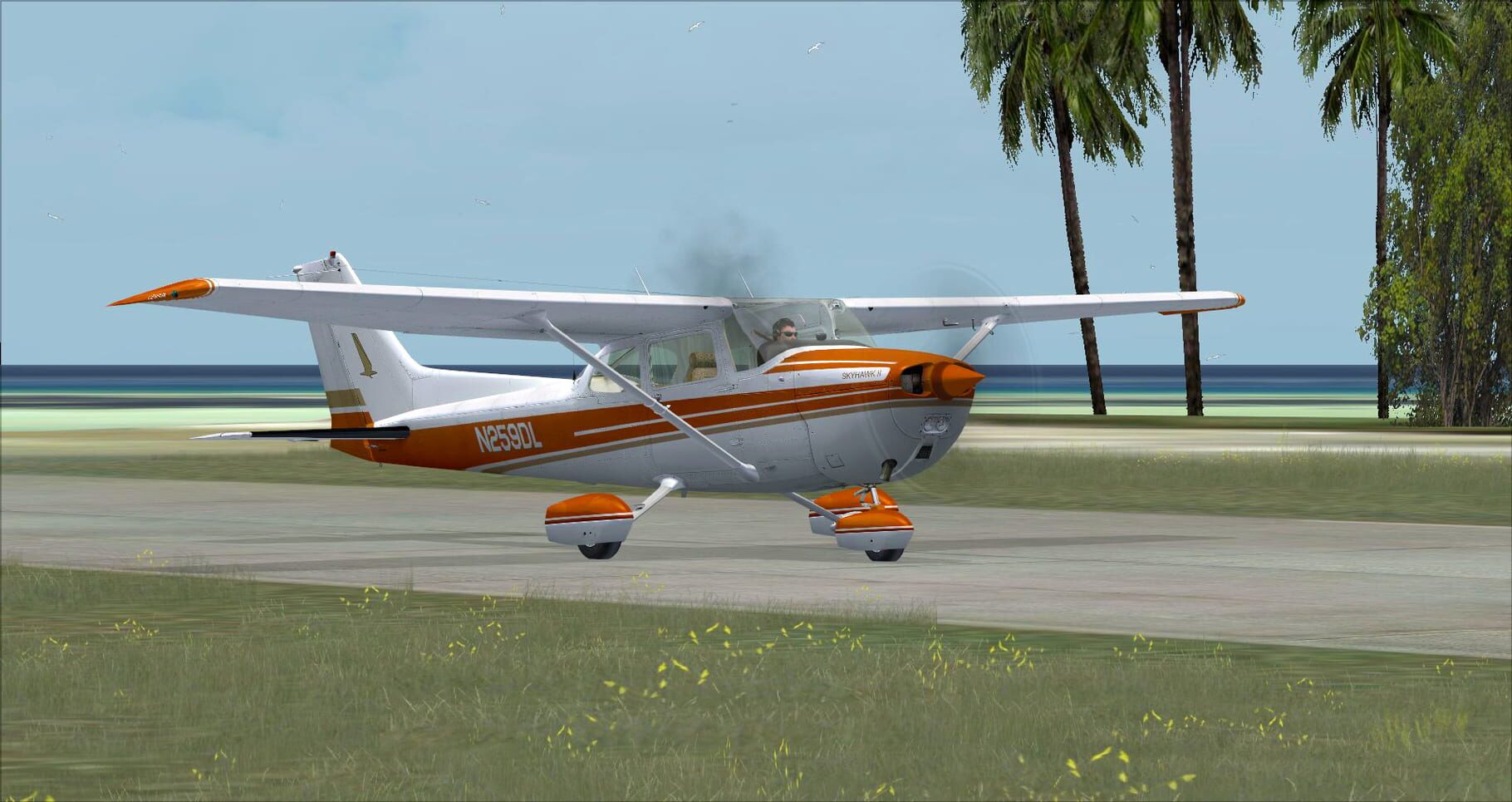 Microsoft Flight Simulator X: Steam Edition - Cessna C172N Skyhawk II