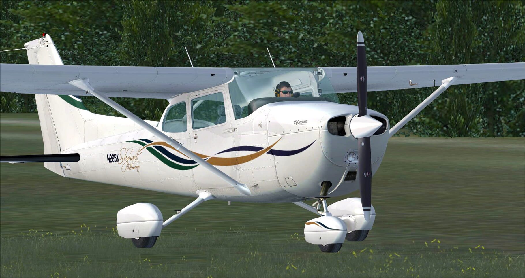 Microsoft Flight Simulator X: Steam Edition - Cessna C172N Skyhawk II