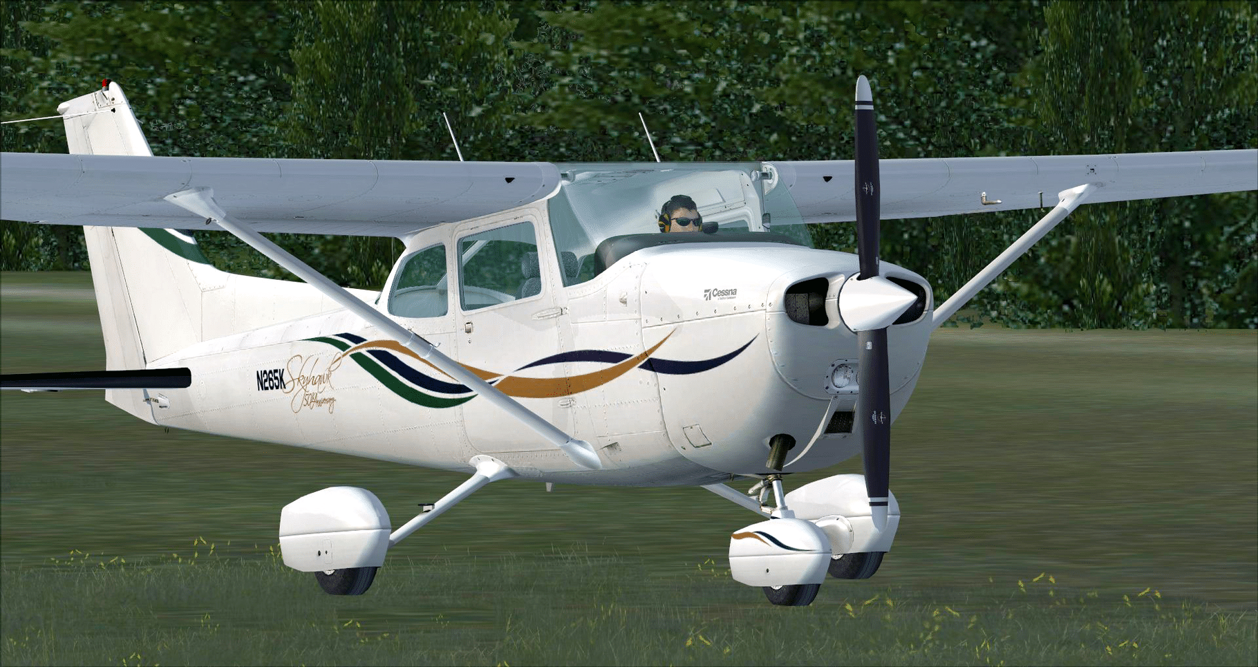 Microsoft Flight Simulator X: Steam Edition - Cessna C172N Skyhawk II screenshot