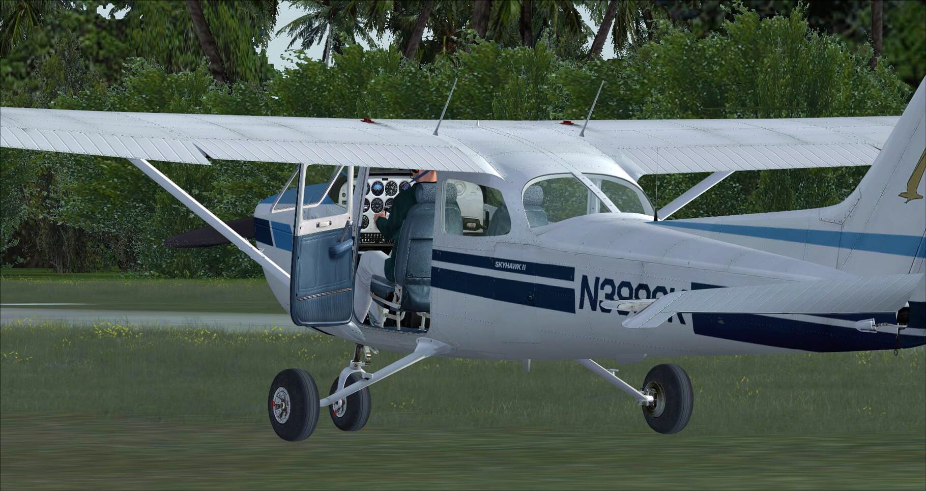 Microsoft Flight Simulator X: Steam Edition - Cessna C172N Skyhawk II