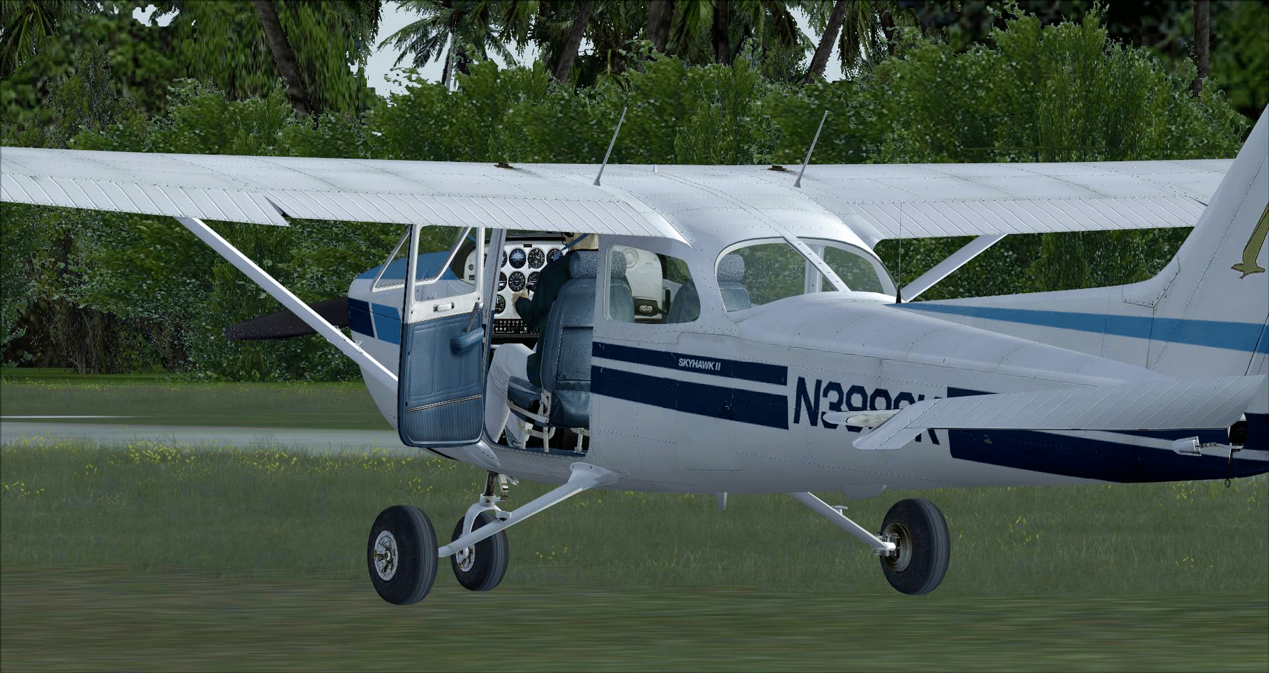 Microsoft Flight Simulator X: Steam Edition - Cessna C172N Skyhawk II screenshot