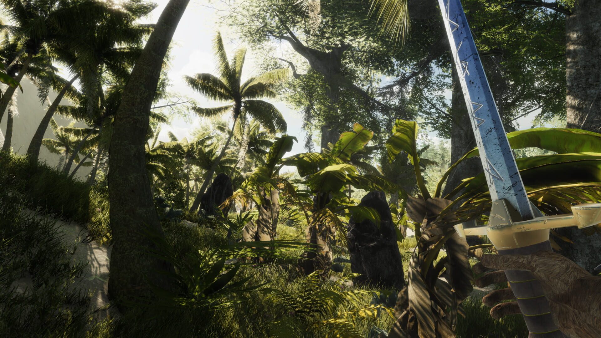 Bromeliad - Screenshot