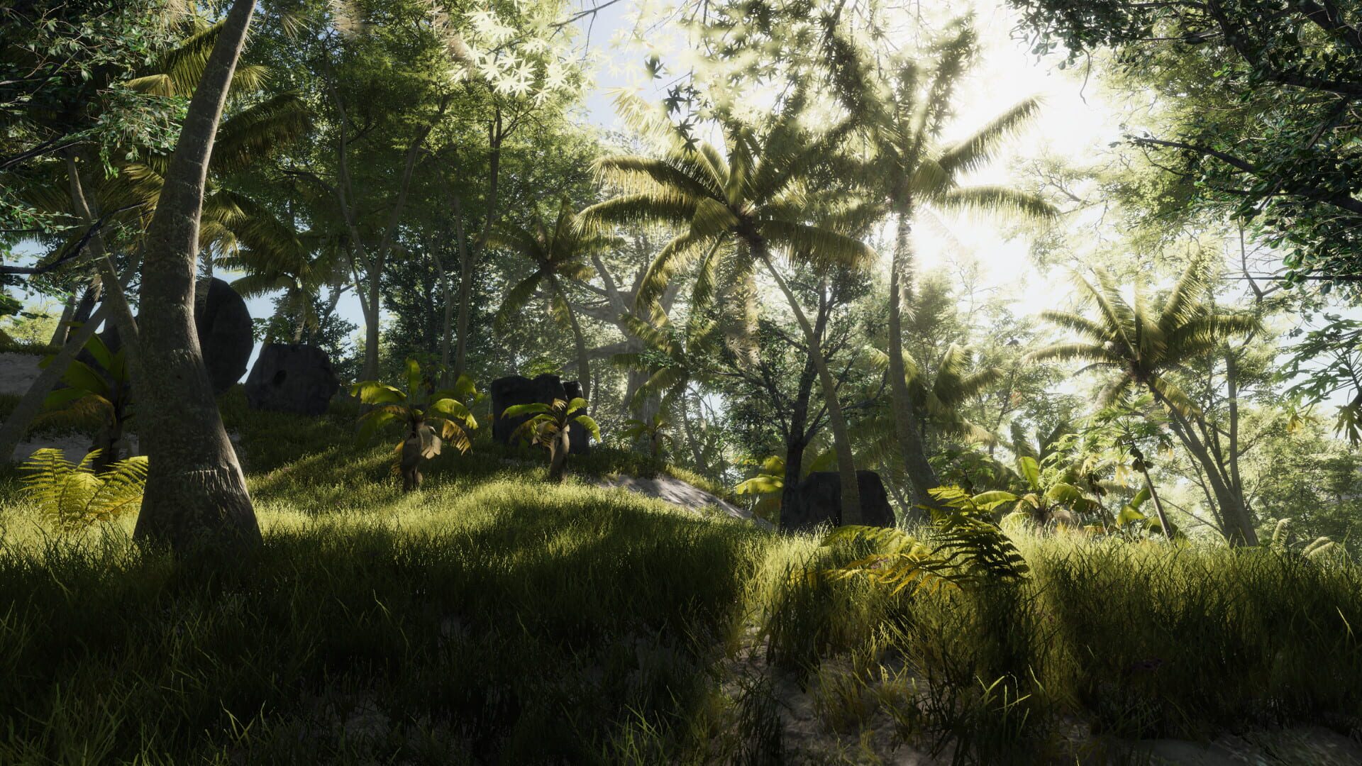 Bromeliad - Screenshot