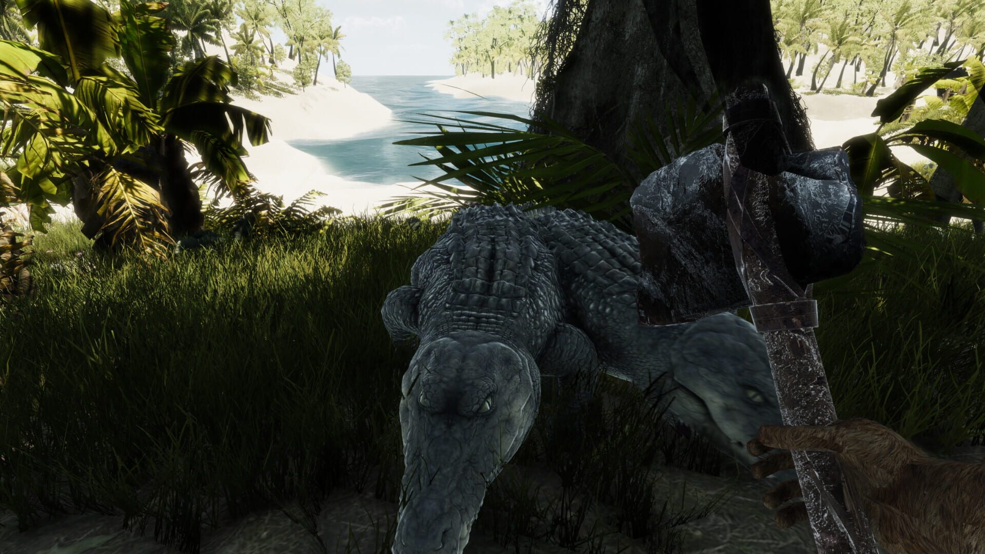 Bromeliad - Screenshot
