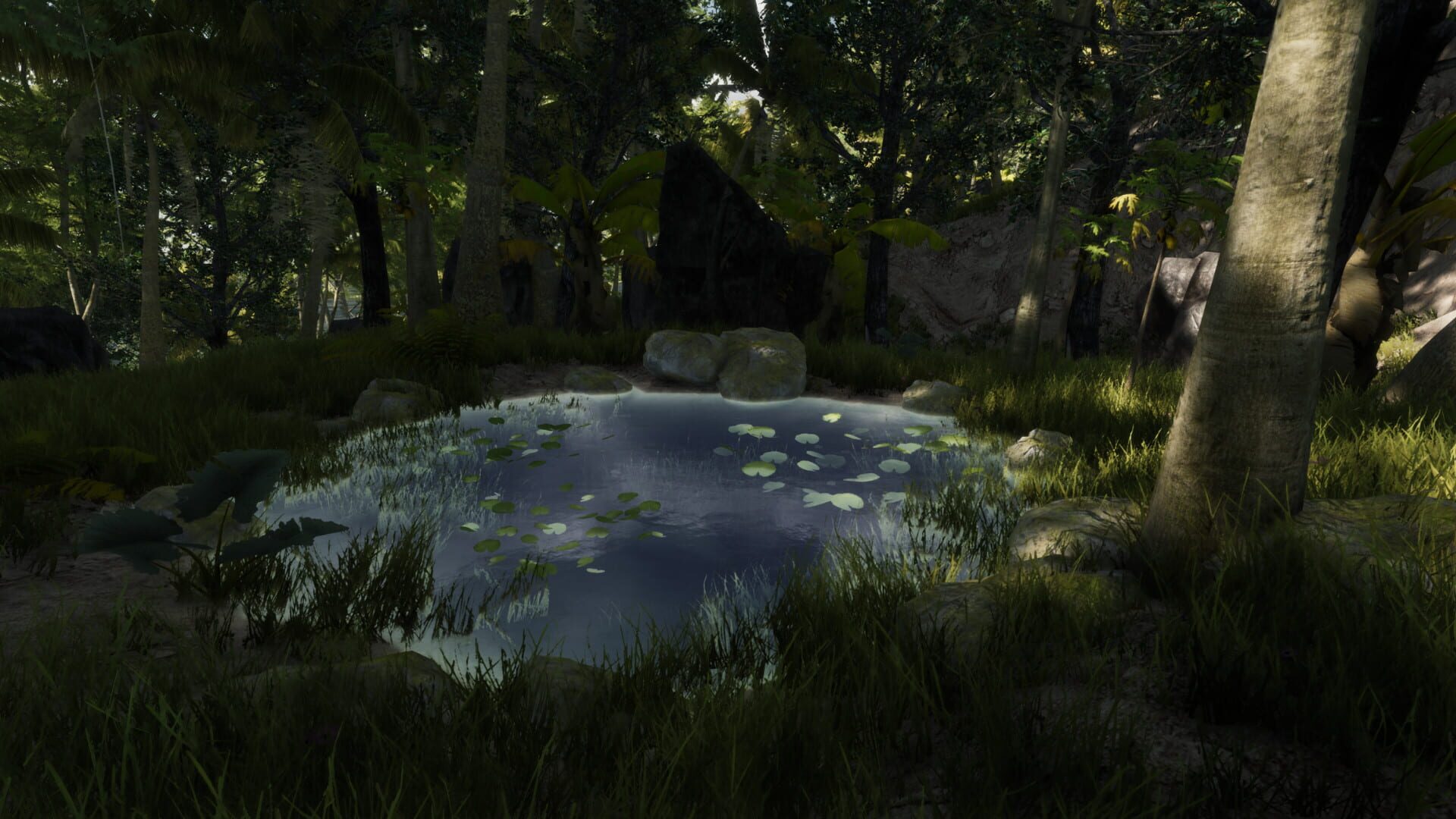 Bromeliad - Screenshot