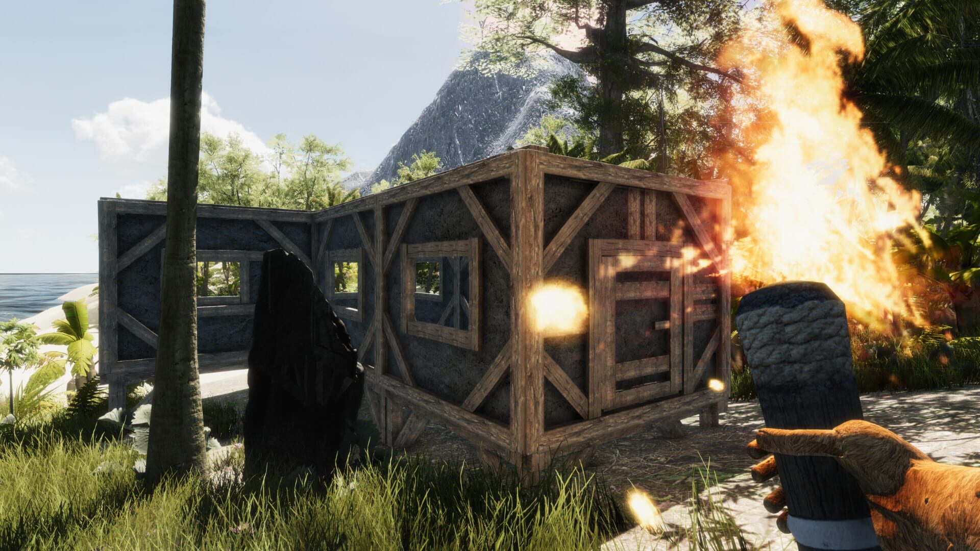 Bromeliad - Screenshot
