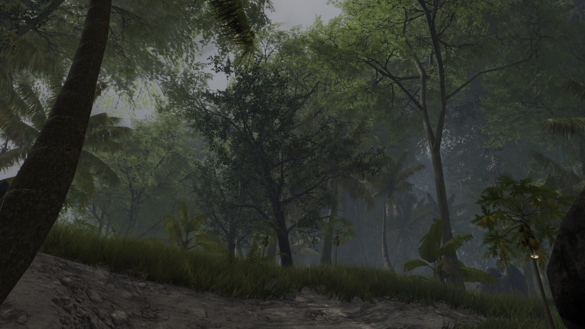Bromeliad - Screenshot