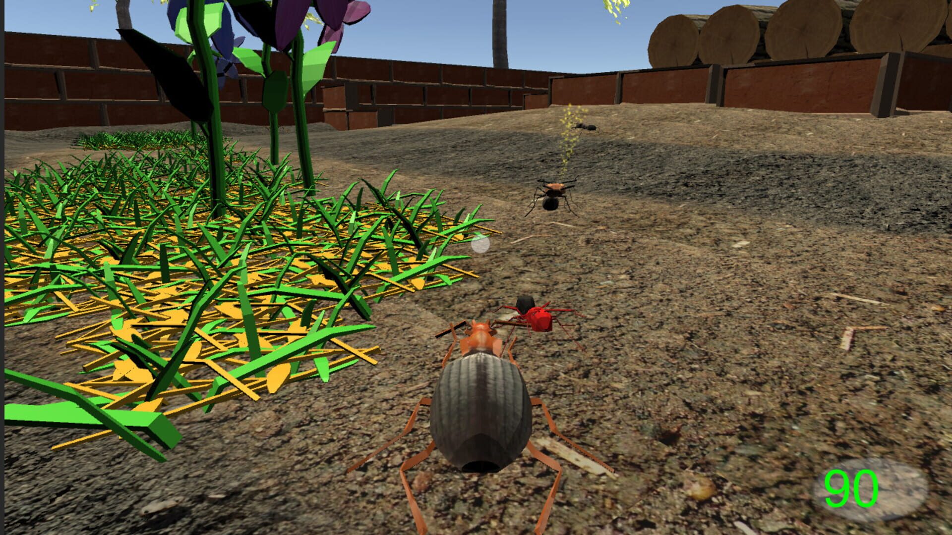 Insect: Bombardier beetle - Screenshot