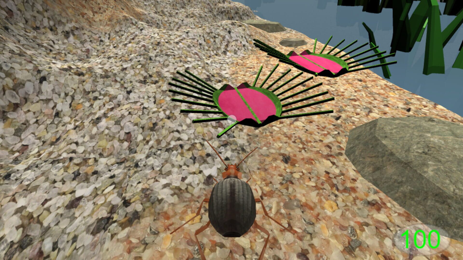 Insect: Bombardier beetle - Screenshot