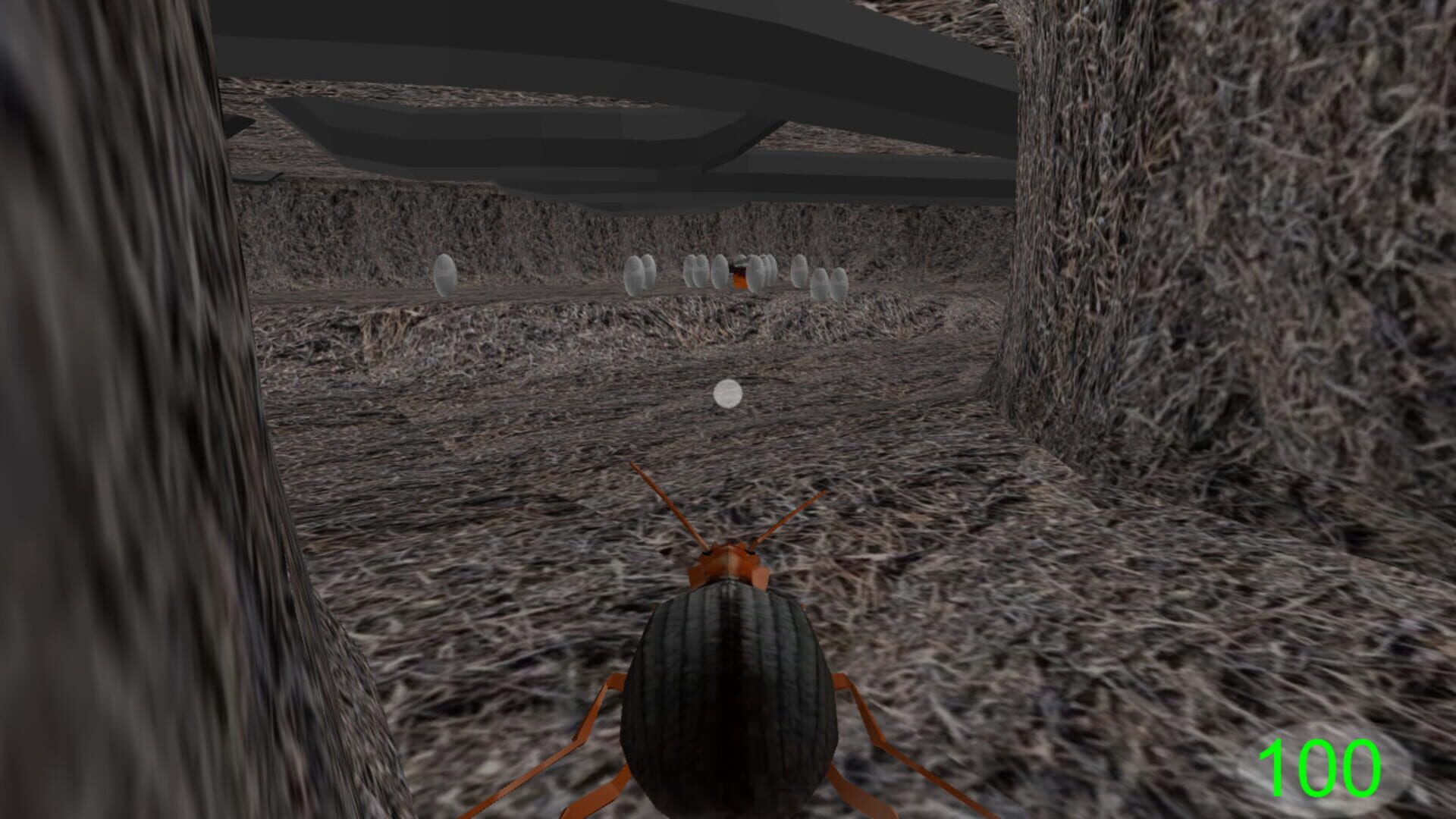 Insect: Bombardier beetle - Screenshot