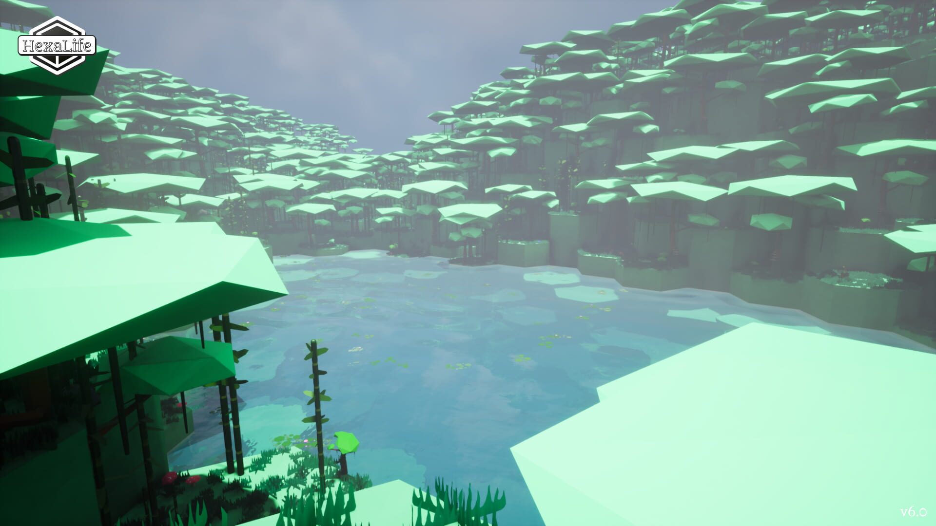 HexaLife - Screenshot