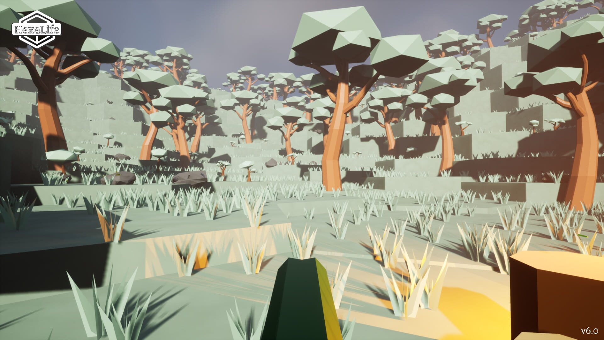 HexaLife - Screenshot